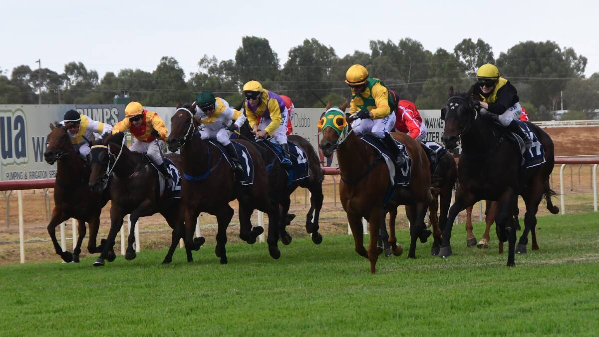 IT'S GO TIME: Good Host (green and yellow silks) is back at Dubbo Turf Club on Sunday after taking out last year's qualifier. Photo: BELINDA SOOLE