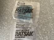 Ratsak poison was found in Windang kids trick or treat haul. Picture supplied