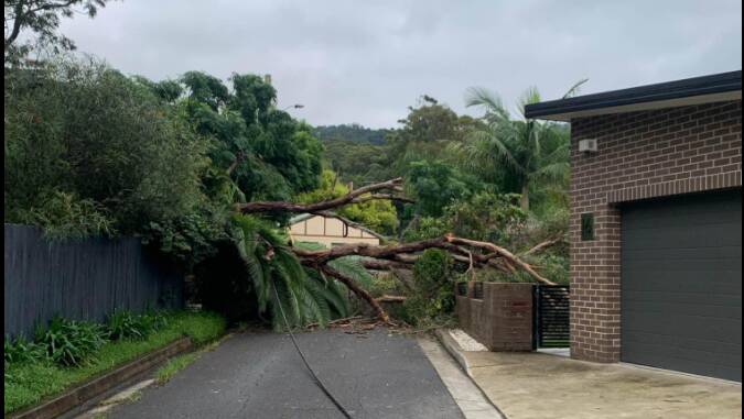 Damaging winds bring a new problem to Illawarra residents on Wednesday. Picture: SES Wollongong