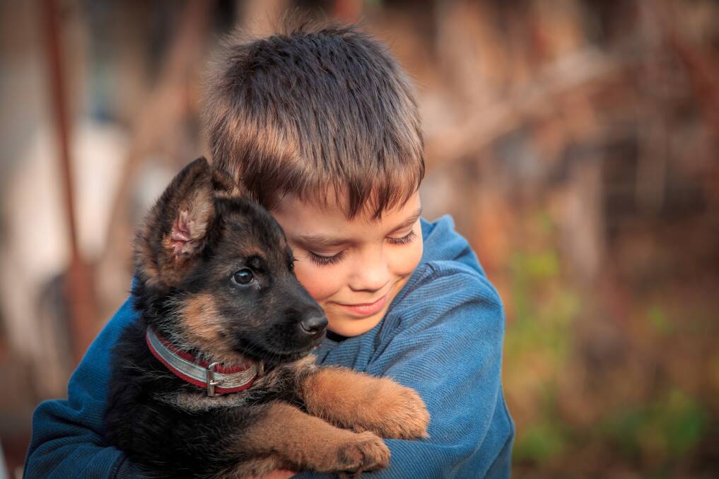 Once you have determined that your child is ready, it’s essential that your child understands exactly what’s involved in caring for an animal - after all, pet care involves more than just cuddling!