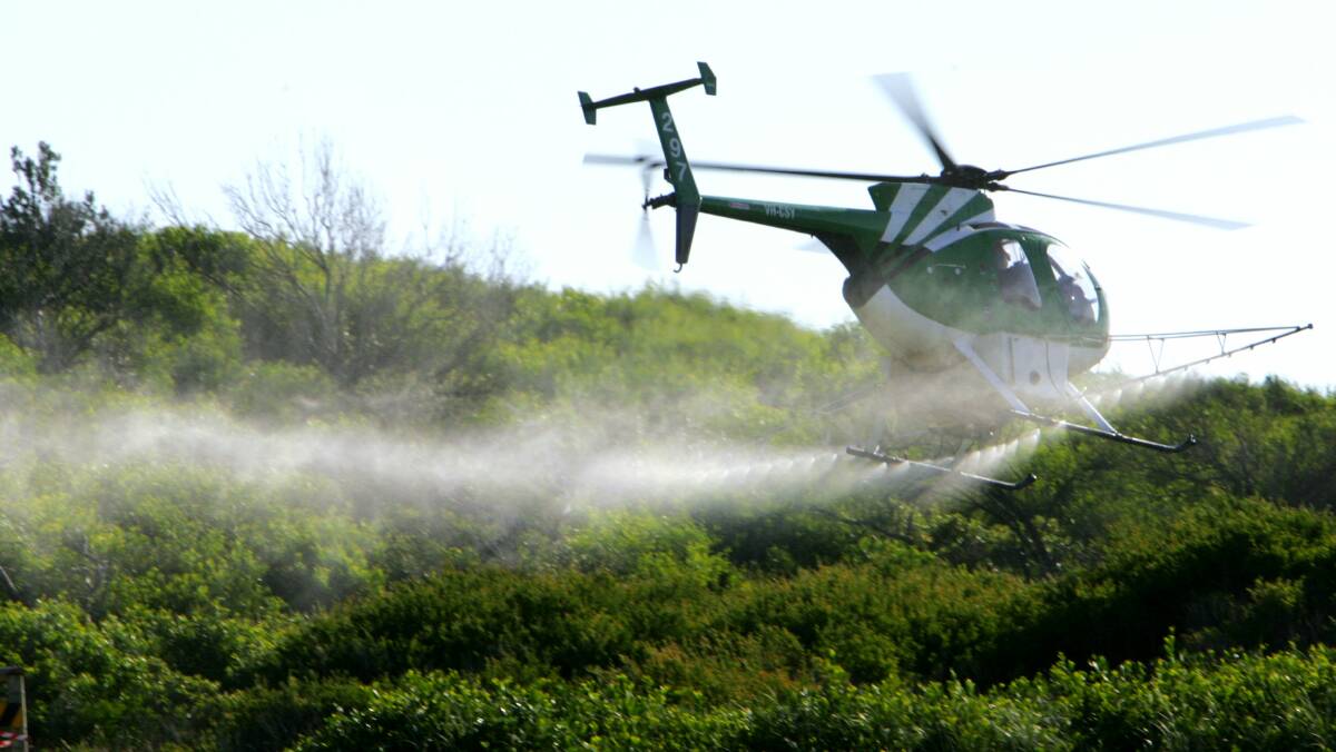 ROUND IT UP: Aerial spraying at the northern end of East Corrimal beach in 2007.