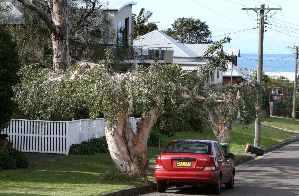 GET THE CHOP: Endeavour Energy's tree lopping program has been at times severe.