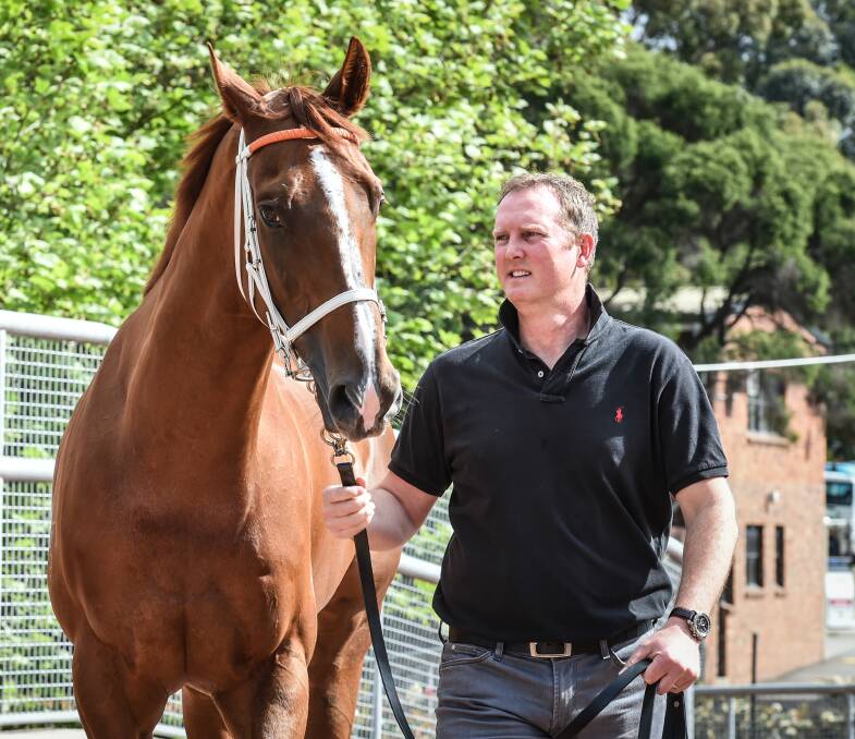 Ready: Michael Hawkes, pictured with Entirely Platinum, believes first-starter Kentucky Diva can win at Kembla Grange. Picture: Brendan Esposito
