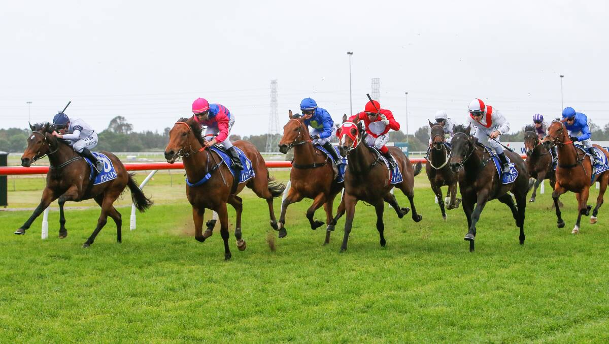 WET AND WILD: Racing was abandoned at Kembla Grange on Tuesday after more than 70 millimetres of rain fell on the track in the past week. Picture: ADAM McLEAN