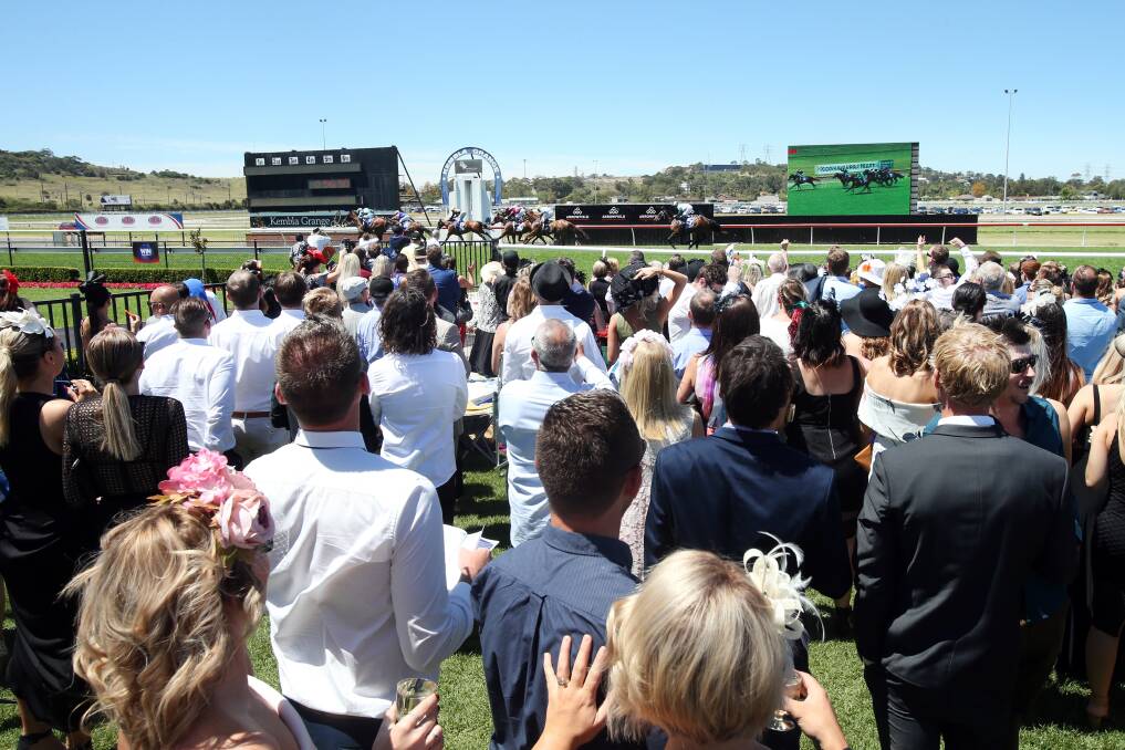 BIG PICTURE: Melbourne Cup Day draws the biggest crowds for the Illawarra Turf Club each year, with around 6000 punters expected at Kembla Grange. Picture: Sylvia Liber