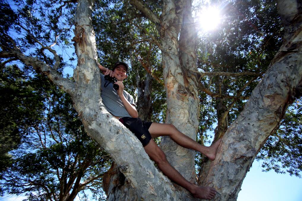 Jack Dixon, from North Queensland, watches the NSW vs QLD Australian Country Cricket Championships game from the shade of a tree at Figtree Oval. Picture: Robert Peet