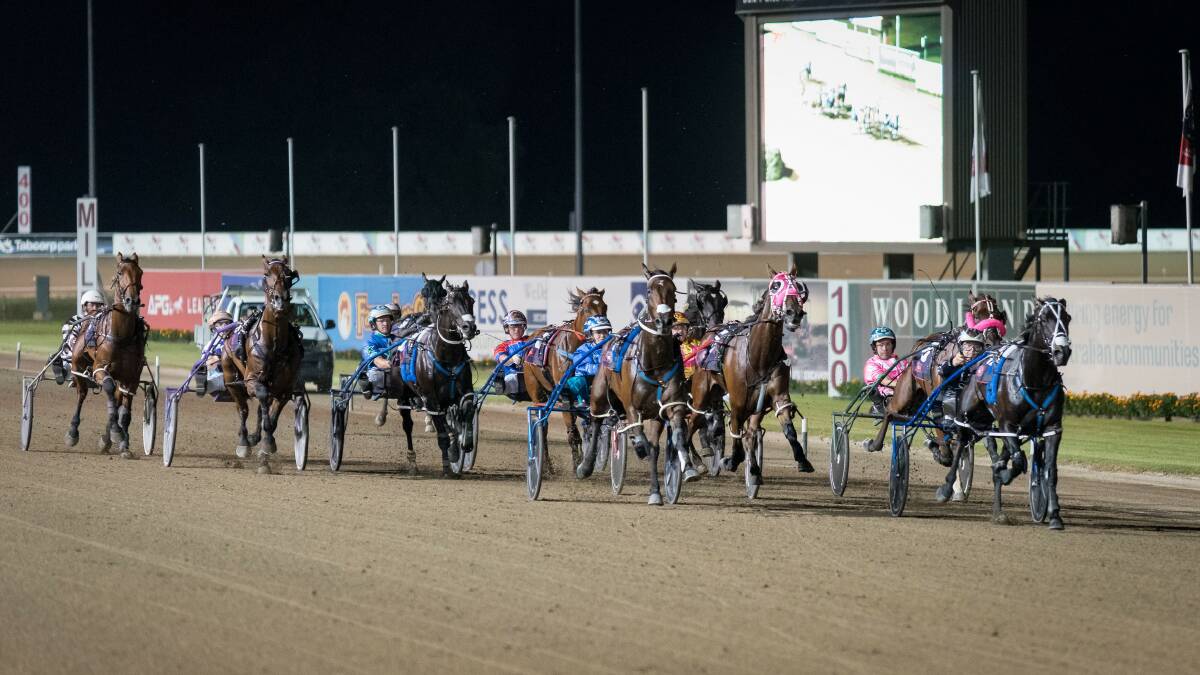 CONTENDER: Mark Purdon's Lazarus won the Chariots of Fire at Menangle last weekend and will be aimed at the Miracle Mile later this month. Picture: Brett Atkins 