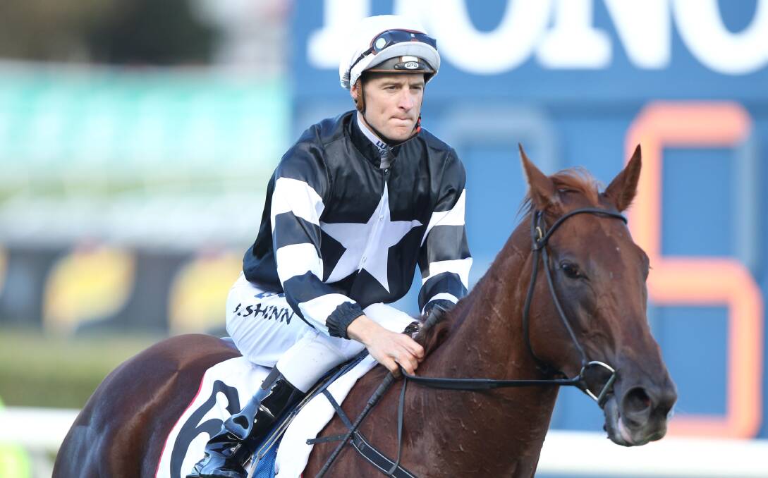 PILOT: Jockey Blake Shinn, pictured riding Nieta, will link up with Peter Robl trained I Am Lexus. Picture: bradleyphotos.com.au