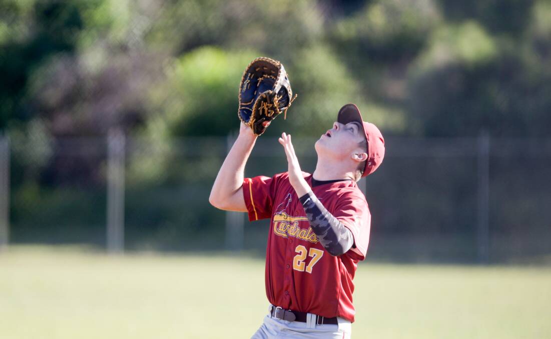 Catch: Wests Cardinals' Alex Osborne moves into position during an Illawarra baseball clash this season. Picture:  Georgia Matts
