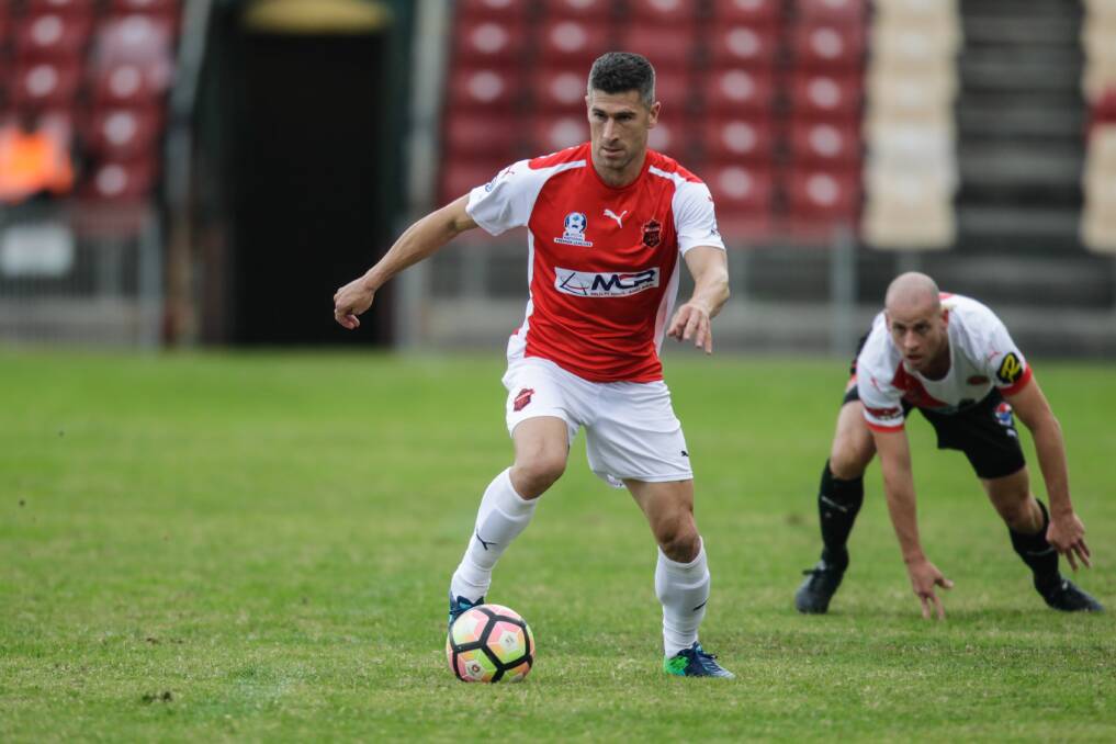 EXPERIENCED HEAD: Nick Montgomery played his first game for the Wollongong Wolves in their victory over Rockdale City Suns on the weekend. Picture: GEORGIA MATTS