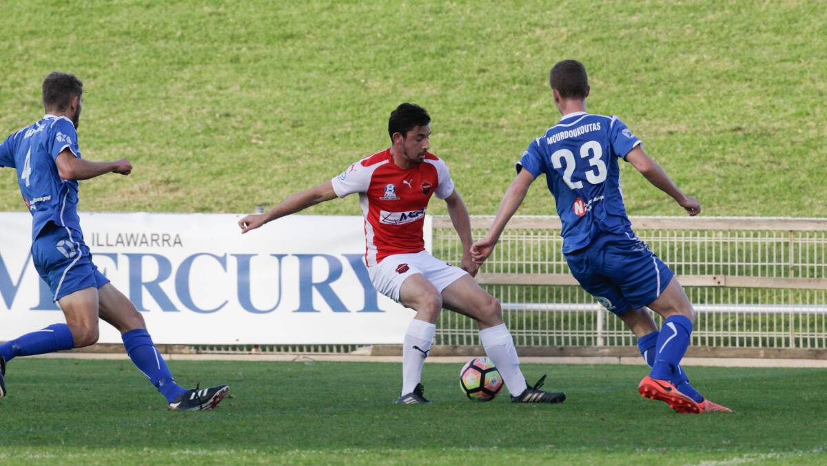 INSTRUMENTAL: Wolves attacker Patrick Antelmi scored in Wollongong's 2-1 win over Sydney Olympic on Sunday afternoon. Picture: GEORGIA MATTS