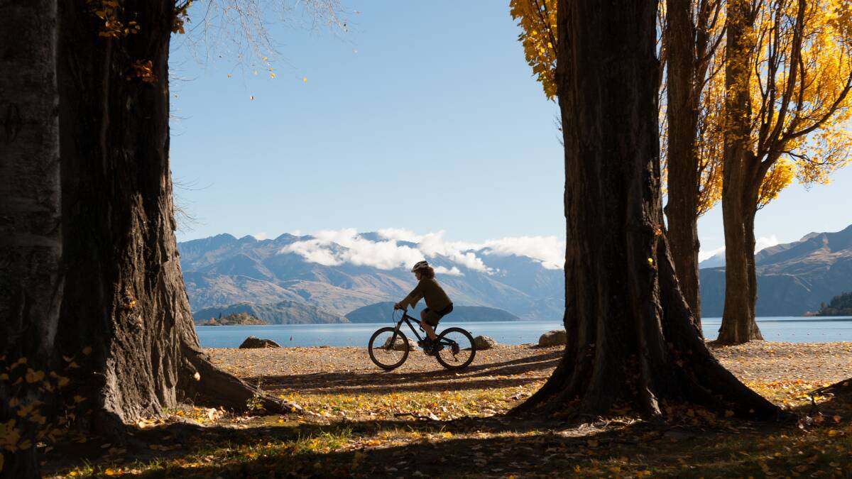 A female cyclist rides among the fallen leaves and autumn poplars on the edge of Lake Wanaka, South Island, New Zealand. Picture: iStock