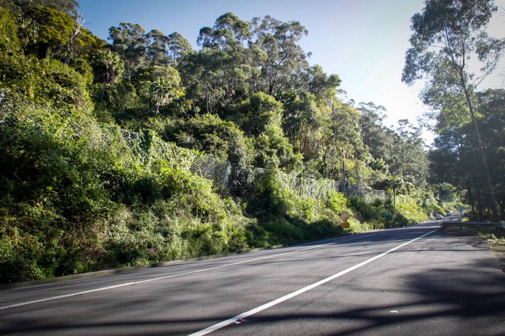 Vegetation is starting to grow over the rock fall fencing along Bulli Pass. The Pass will close for 10 weeks on Monday to allow workers to install the second stage of the fencing. Picture: Georgia Matts