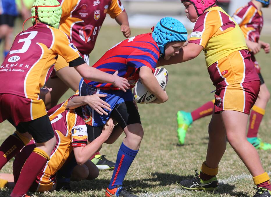 Take it up: Wests' Bailey Taylor  in the under 11 division two grand final. Picture: Robert Peet