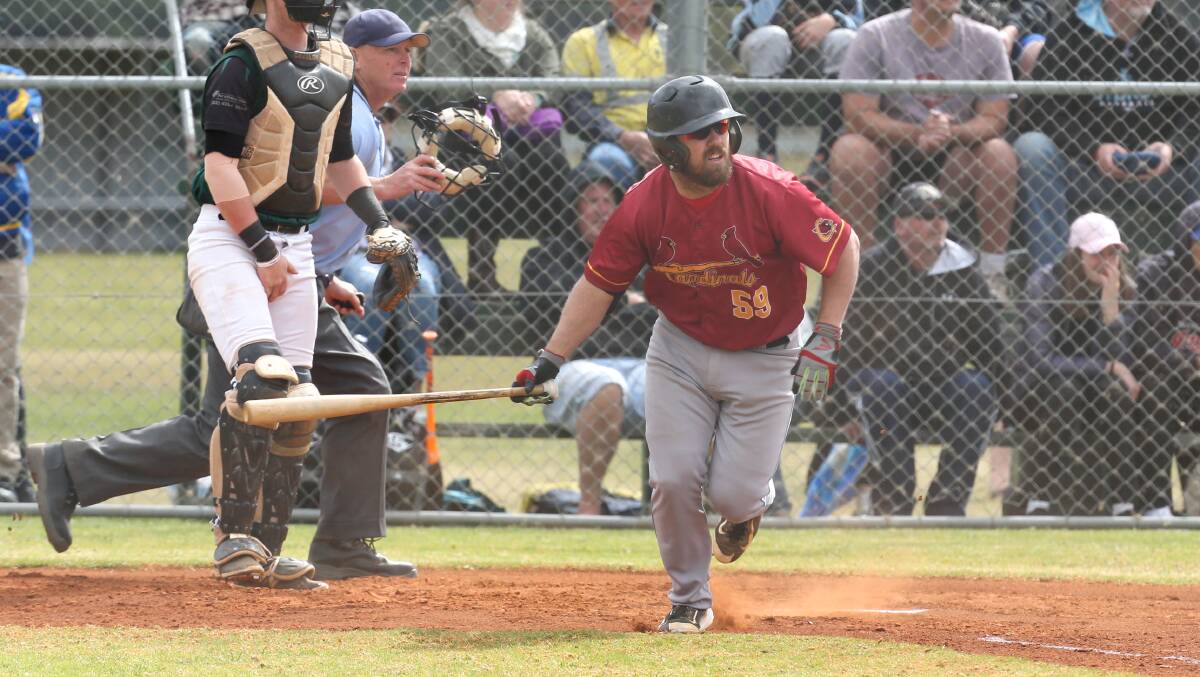 Off and running: Trent D'Antonio will line up for Wollongong in Saturday's opening round of the Illawarra Baseball League. Picture: Georgia Matts.