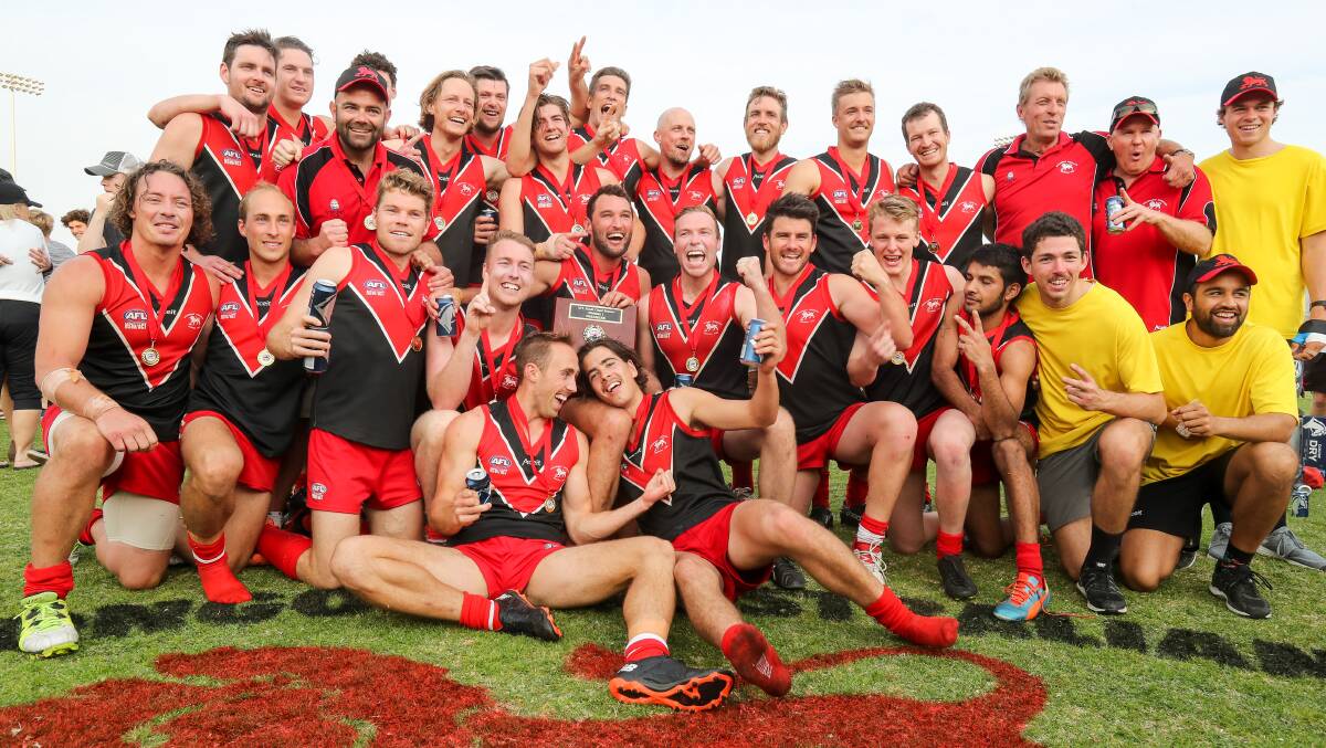 Grand plan: The Wollongong Lions celebrate winning last year's AFL South Coast premiership. Picture: Adam McLean