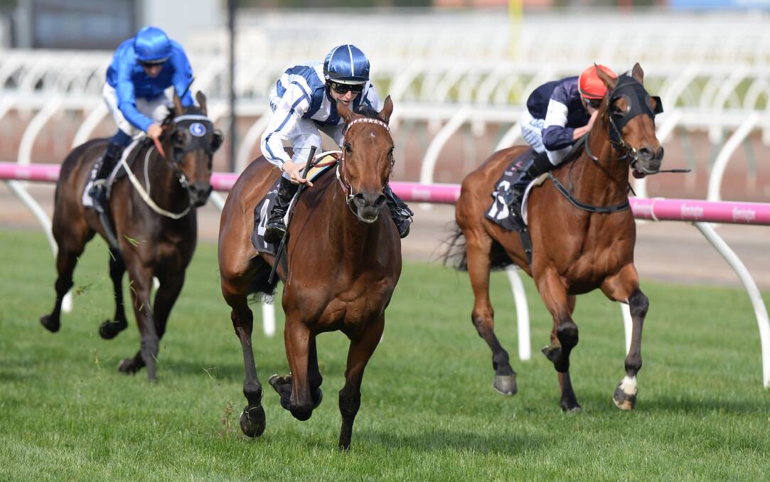 Cup hope: Amelie's Star (centre).  Picture: AAP Image/Mal Fairclough