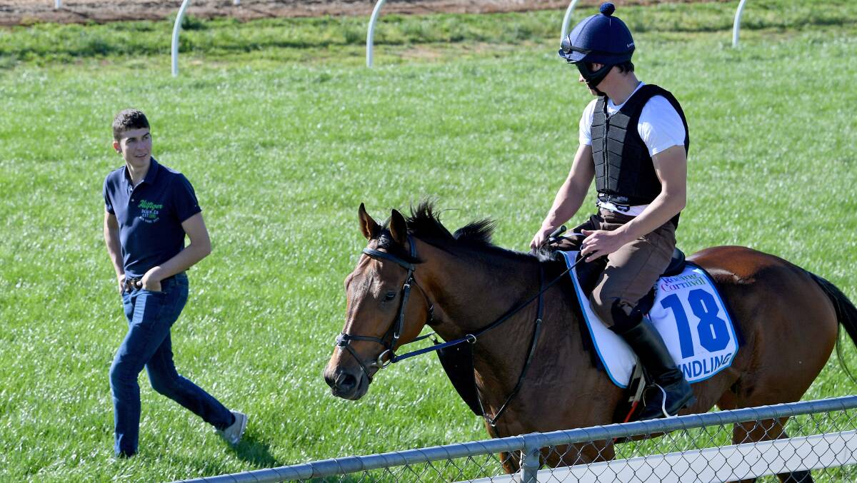 The Joseph O'Brien-trained horse Rekindling at Werribee. Picture: AAP Image/Joe Castro