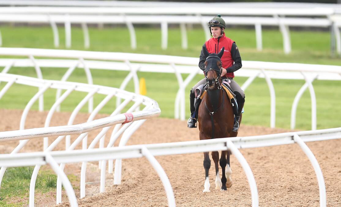 Melbourne Cup starter Nakeeta is worked at Werribee racecourse. Picture: AAP Image/Julian Smith