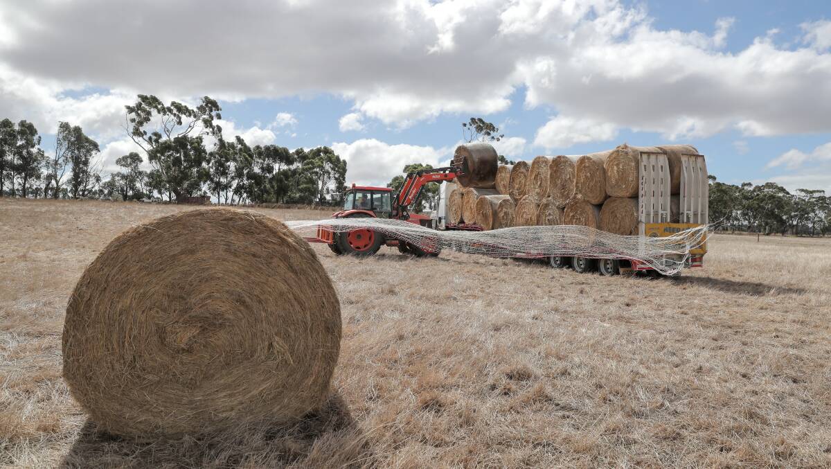 Shellharbour council owned land will be used to make hay for farmers in need of feed.