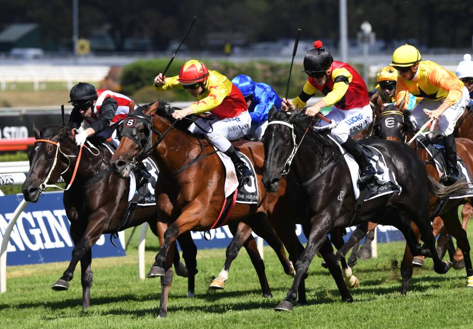 HEADING NORTH: Dark Dream (red, yellow and black cap) finished second in the The Agency Pacific Classic. Picture: AAP Image/David Moir
