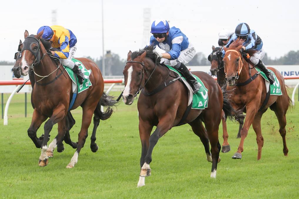 OAKS BOUND: Deanne Panya surges home down the outside to win on Highway at Kembla Grange on Saturday. Picture: GEORGIA MATTS