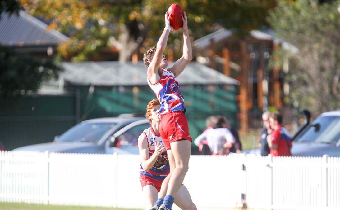 Rising high: Bentley Murphy played in Saturday's victory over Wollongong Lions at Keira Oval. Picture:  Adam McLean