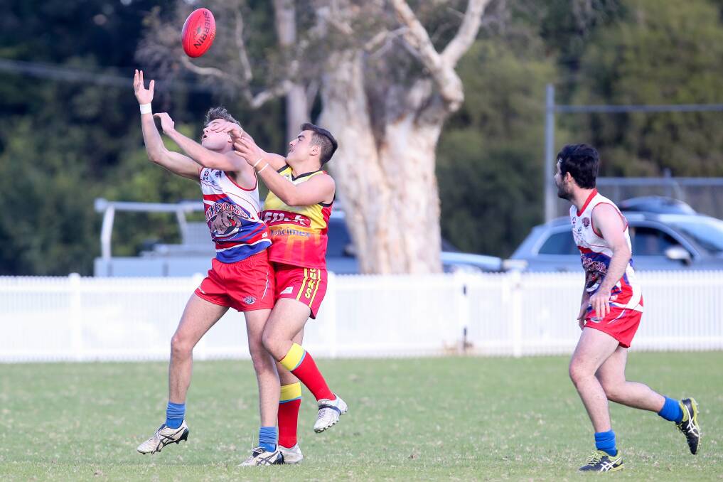 Punch: Shellharbour's Ryan Maguire attempts to spoil Wollongong Bulldogs opponent Bentley Murphy at Keira Oval on Saturday. Picture: Adam McLean