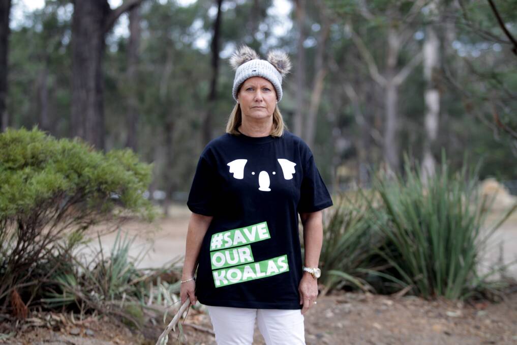 HASTY PLAN: Judith Hannan has championed the cause of saving the koala.