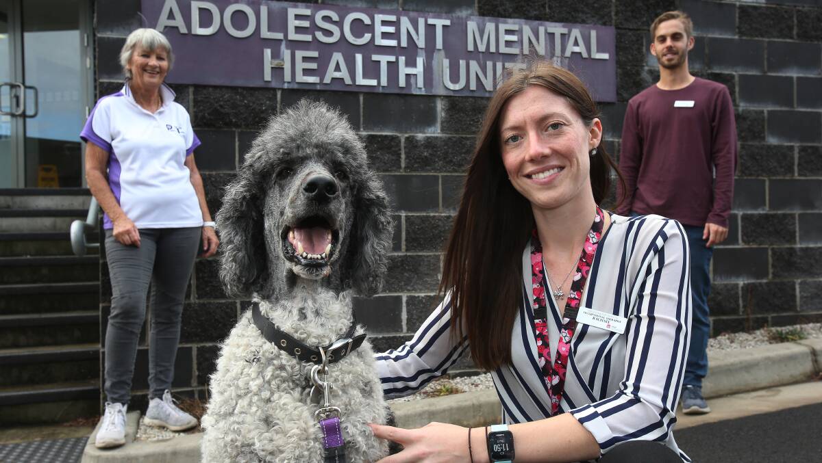 Good dog: Fabian the therapy poodle with PAWS Pet Therapy representative Fay Hull and Shellharbour Hospital adolescent mental health unit registered nurse Nathan Boulton and occupational therapist Rachael Wade. Picture: Robert Peet
