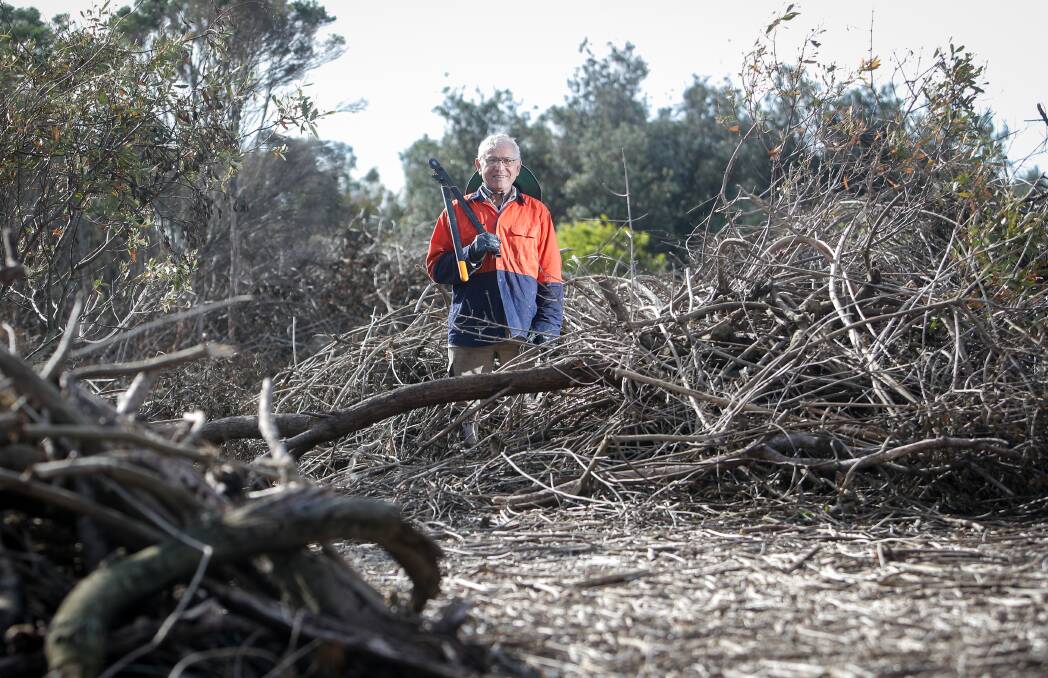 LOCAL HERO: Vasilios 'Bill' Kazepidis at Puckey's reserve in Fairy Meadow. He's made it his mission to rid the reserve of lantana, bitou bush and asparagus fern. Picture: ADAM McLEAN.