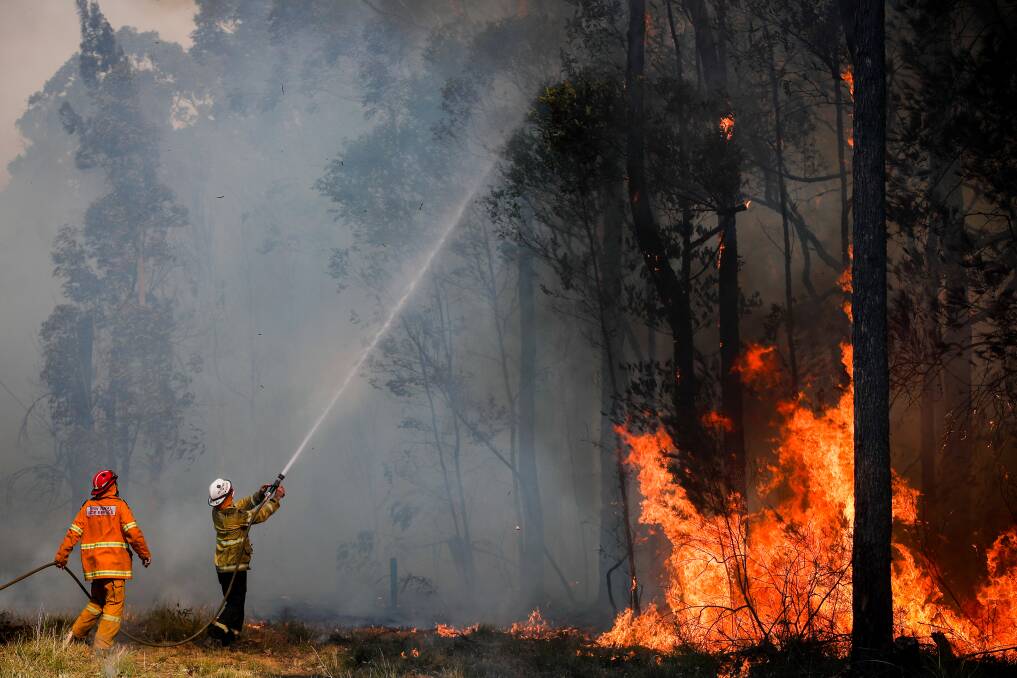 FLASHBACK: Firefighters battles a blaze at the Bomaderry sale yards in 2018. Picture: Adam McLean