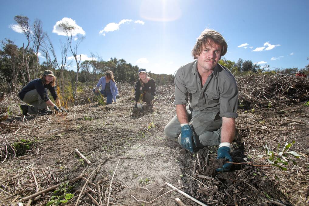 Lyle Hunt working at last year's regeneration project with Wollongong Council and Yours and Owls at Puckey's Estate. He is looking for volunteers for another project on August 22. Picture: Adam McLean
