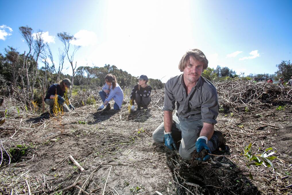 REGENERATE: Say goodbye to lantana and hello to native plants like lomandra, saltbush and Warrigal Greens at Puckeys Estate – thanks to environmental advocate Lyle Hunt (above) and Colin Beaton. Also shown are volunteers Nathan Browne, Eliza Beed and Molly Wharfe. Picture: Adam McLean