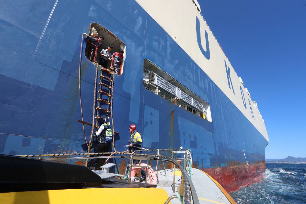 Tricky work: With the help of port officer Grady Erwin, Port Kembla Port Authority pilot Josephine Clark climbs a ladder alongside a car carrier before heading to the bridge and helping guide the ship into port. Pictures: Sylvia Liber
