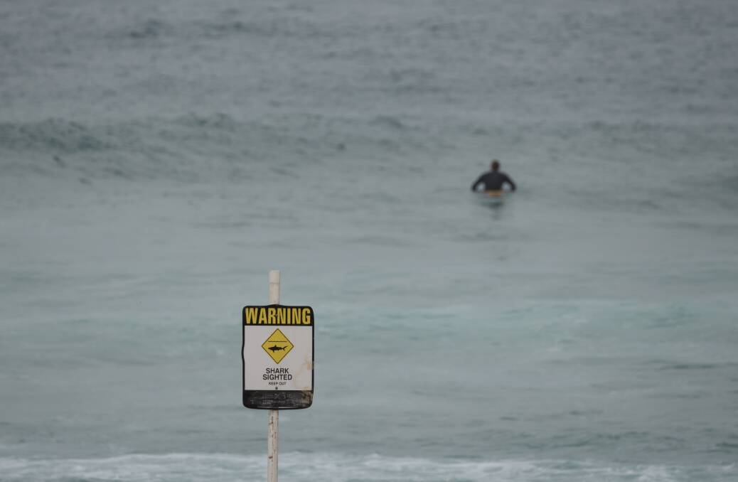 A lone surfer remains in the water after the shark alarm was sounded at Newcastle Beach following sighting of a 3m shark at South Newcastle. Picture: Max Mason-Hubers.