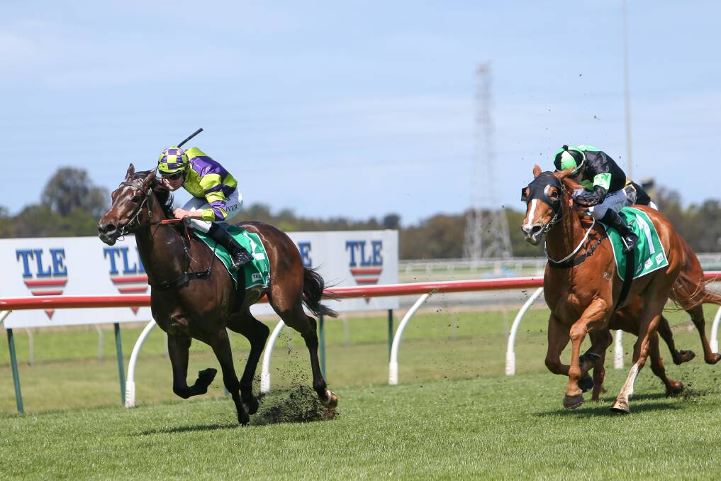 SURGING CLEAR: Jockey Chad Lever rides Gwenda Markwell's Fortification to a win at Kembla Grange. Picture: Adam McLean.
