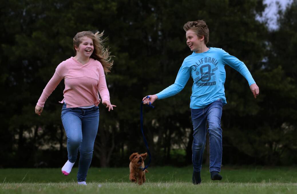 TOTALLY PAWSOME: Ava and Tom Wells running with their pup Monty ahead of Sunday's Dogs' Day Out. Picture: Sylvia Liber