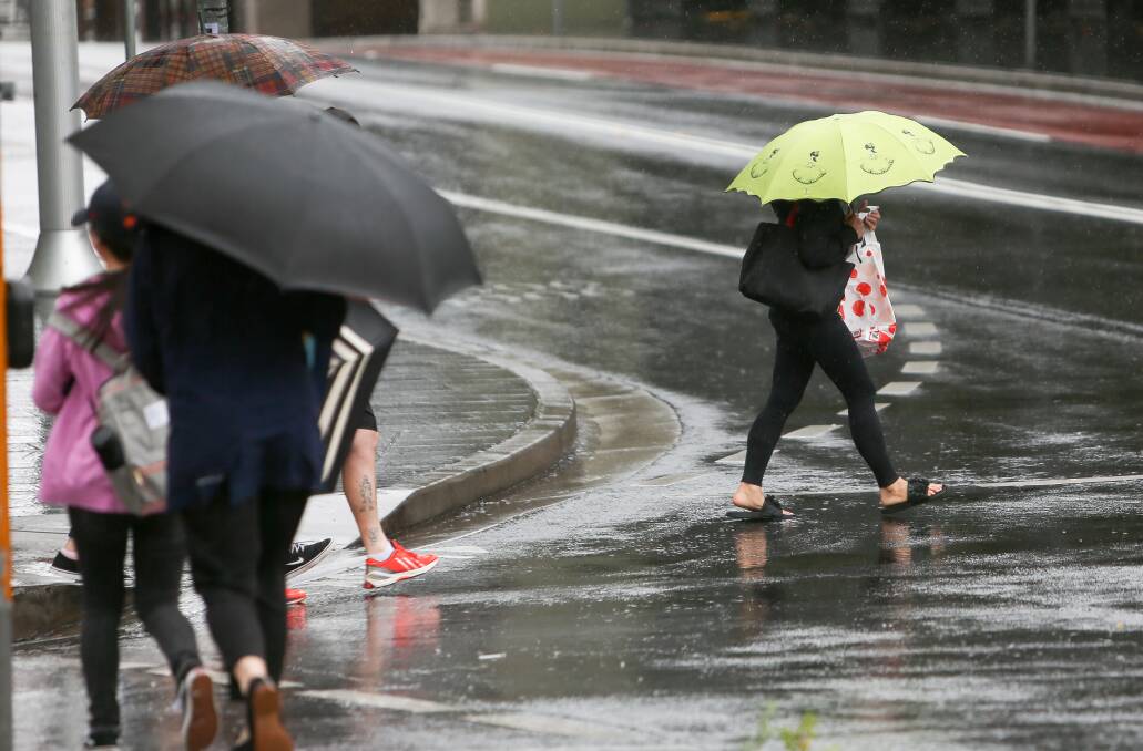 WILD: The Bureau of Meteorology recorded winds gusts up to 74 kilometres per hour in parts of the Illawarra on Wednesday. Picture: Adam McLean