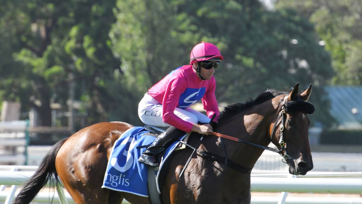 BLACK TYPE: Archedemus won his maiden Group race in the Hawkesbury Cup on the weekend. Picture: AAP
