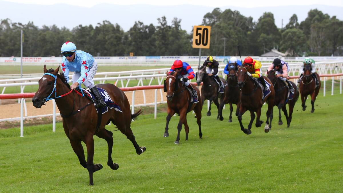 New home: Sister Sledge will contest her first race since being transferred to Robert and Luke Price at Kembla Grange on Thursday. Picture: Geoff Jones.