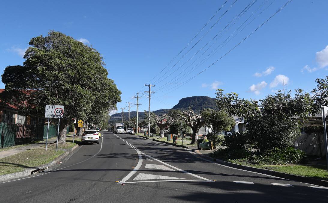 Growing concern: Trees growing beneath power lines along Gipps Road at Gwynneville have been given a quite severe pruning. Picture: Robert Peet