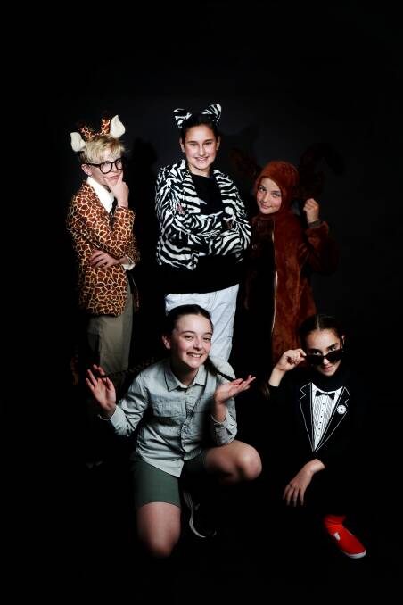 SHOW TIME: Shellharbour Anglican College students Jemma Belsito, Zaniah Hourigan, Jared Wood, Ella Lewis and Georgia Veitch feature in Madagascar, A Musical Adventure Jr. Picture: Sylvia Liber.