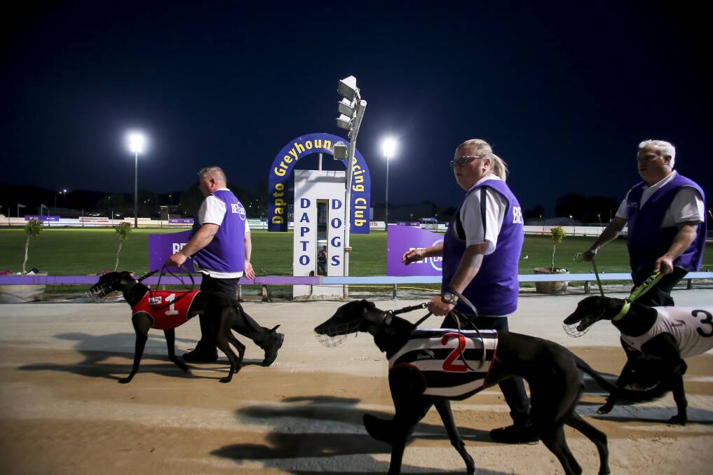 STILL HOME: Dog racing will continue at Dapto Showground for at least one more year, with a spokesman for Greyhounds NSW confirming they have extended their lease until June 2022. Pictures: Anna Warr