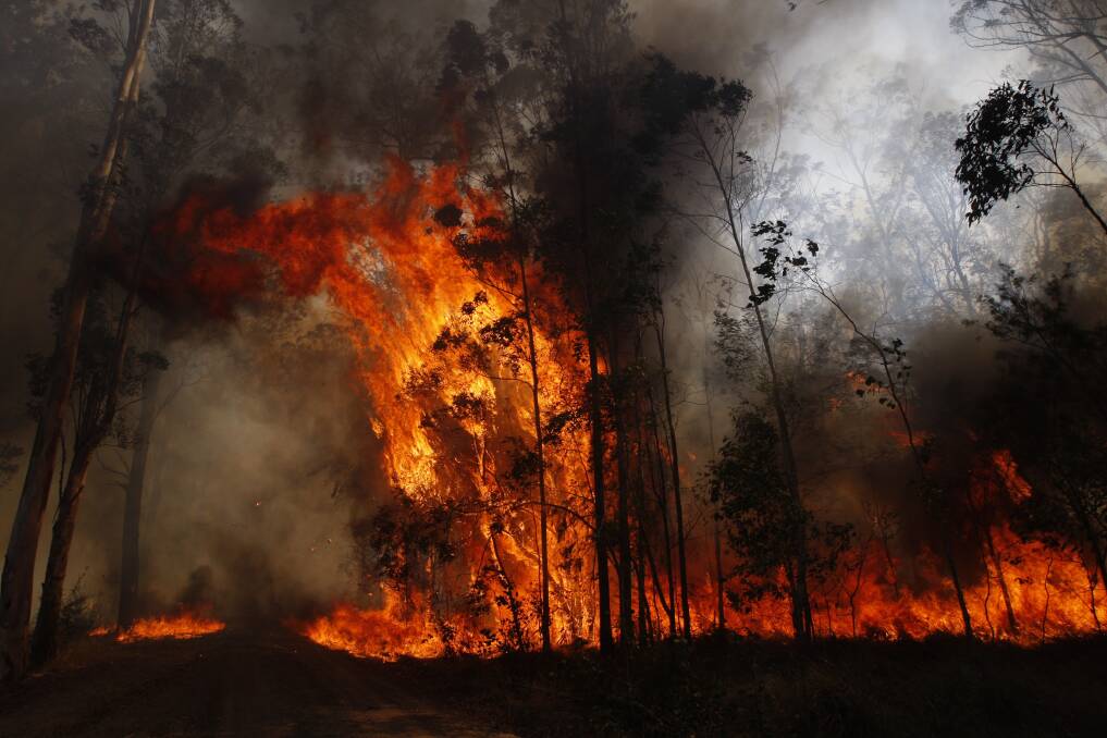 FIERCE: The Hillville fire as captured by photographer Dean Sewell.