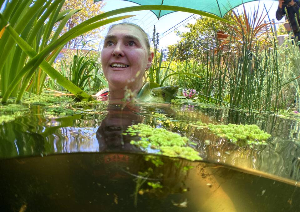 Jeanne Mansbridge's daughter Lisa takes a dip in the family pool, turned pond in Kambah. Picture: Karleen Minney