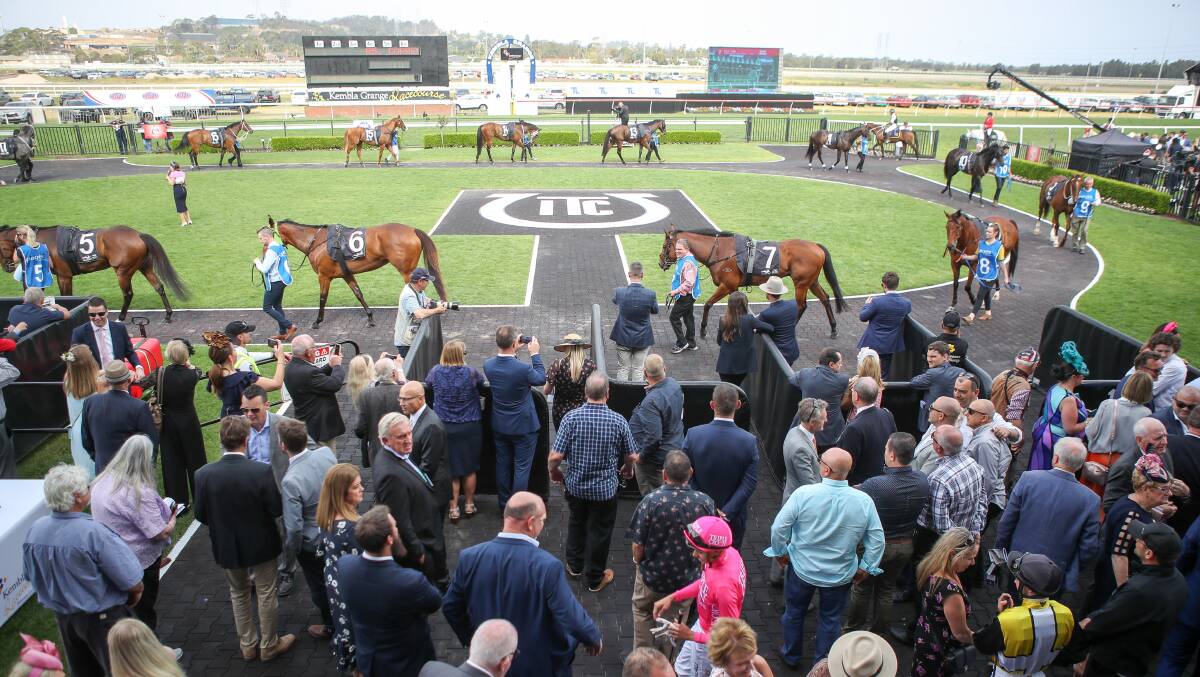 Step forward: Racing NSW continues to invest in horse racing in the Illawarra. Picture: Adam McLean.