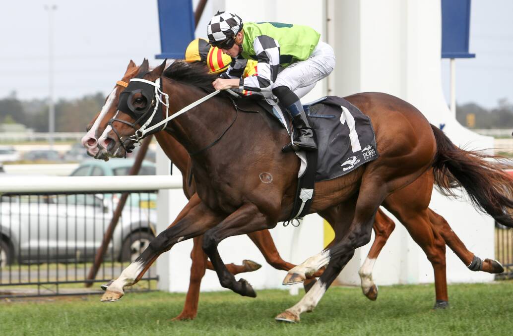 Triumphant: Mister Sea Wolf races to victory in last year's The Gong. Picture: Adam McLean.