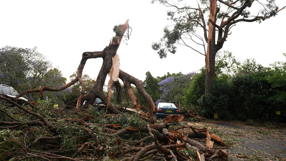 File picture. The Illawarra region has been hit by wild winds.