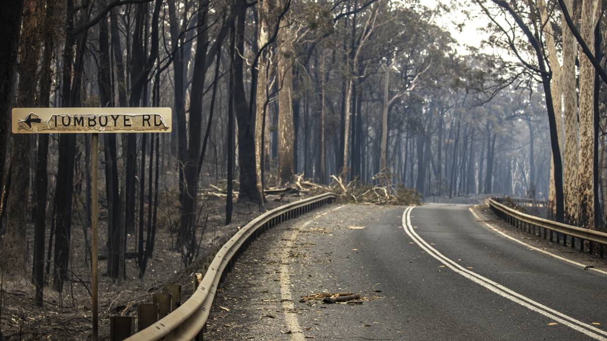 Burnt trees lined the Pacific Highway north of Bateman's Bay. Picture: Sitthixay Ditthavong